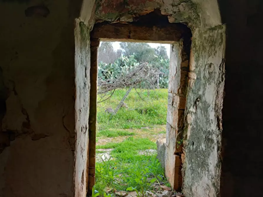 Immagine 18 di Rustico / casale in vendita  in C.da Sardella a San Michele Salentino