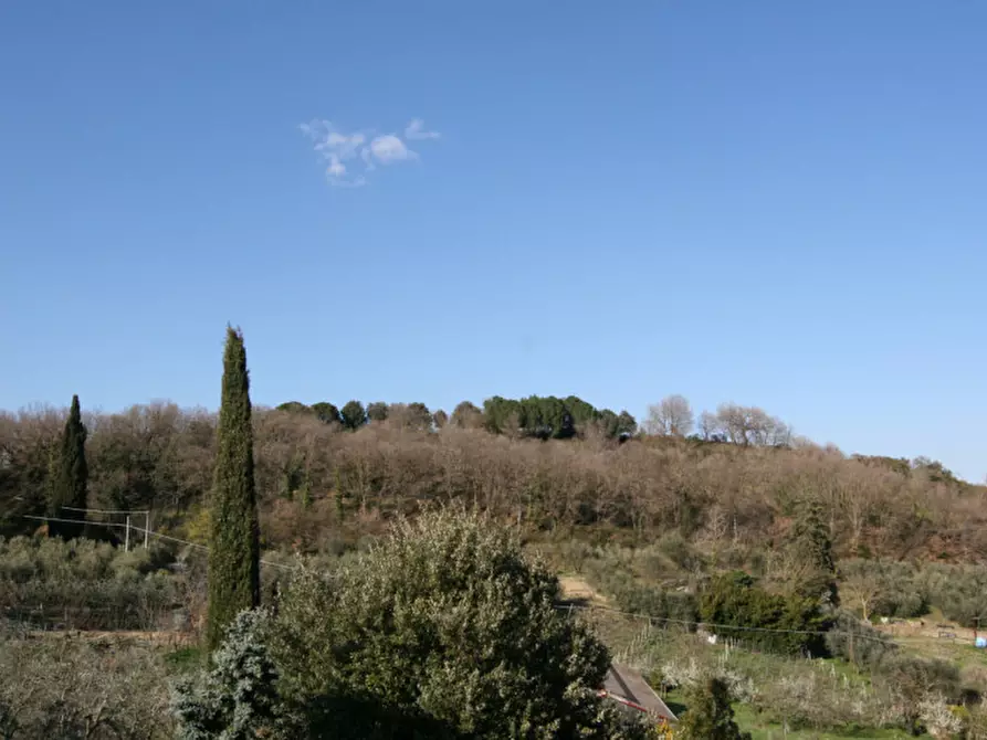 Immagine 34 di Casa indipendente in vendita  a Montepulciano