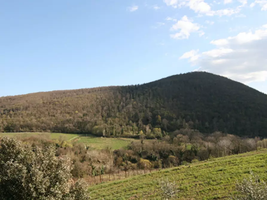 Immagine 35 di Casa indipendente in vendita  a Montepulciano