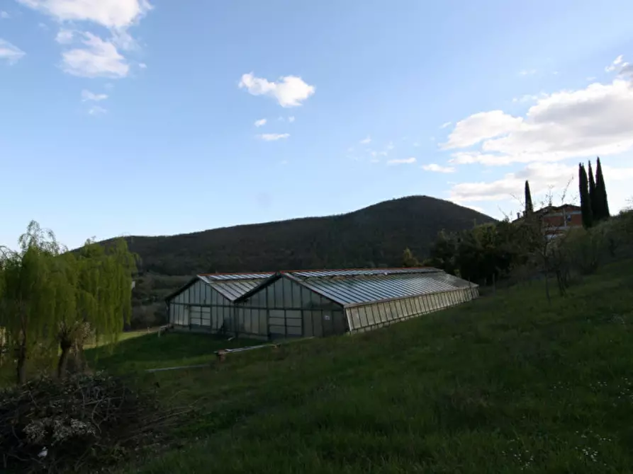 Immagine 36 di Casa indipendente in vendita  a Montepulciano
