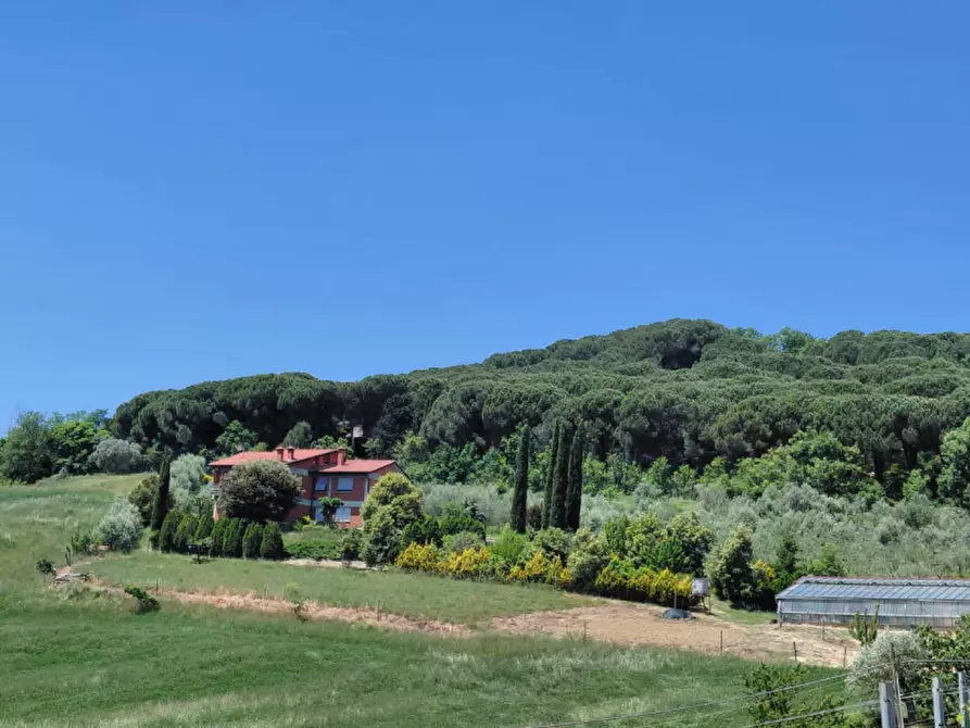 Immagine 39 di Casa indipendente in vendita  a Montepulciano