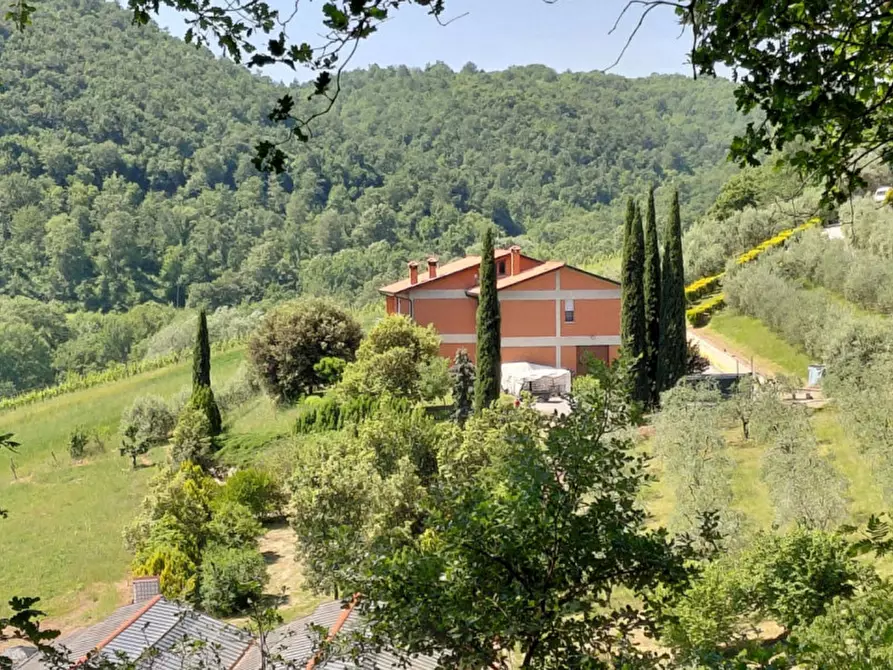 Immagine 41 di Casa indipendente in vendita  a Montepulciano