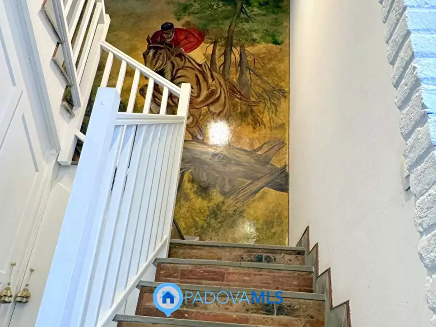 Immagine 15 di Casa bifamiliare in affitto  in Via Friuli a Padova