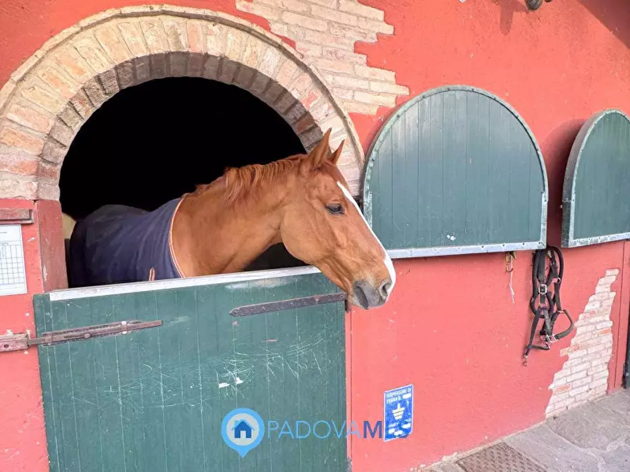 Immagine 41 di Casa bifamiliare in affitto  in Via Friuli a Padova