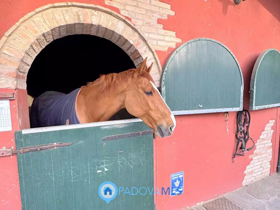 Immagine 47 di Casa bifamiliare in affitto  in Via Friuli a Padova