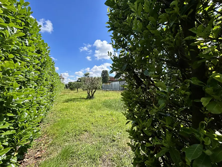 Immagine 31 di Casa bifamiliare in vendita  in VIA SAN PIETRO a San Martino Di Lupari