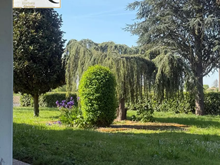 Immagine 19 di Casa indipendente in vendita  a Urbana