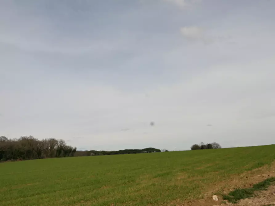 Immagine 42 di Rustico / casale in vendita  a Marsciano