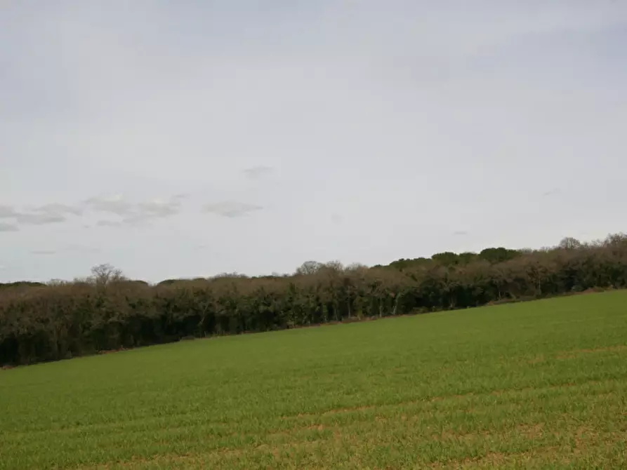 Immagine 43 di Rustico / casale in vendita  a Marsciano