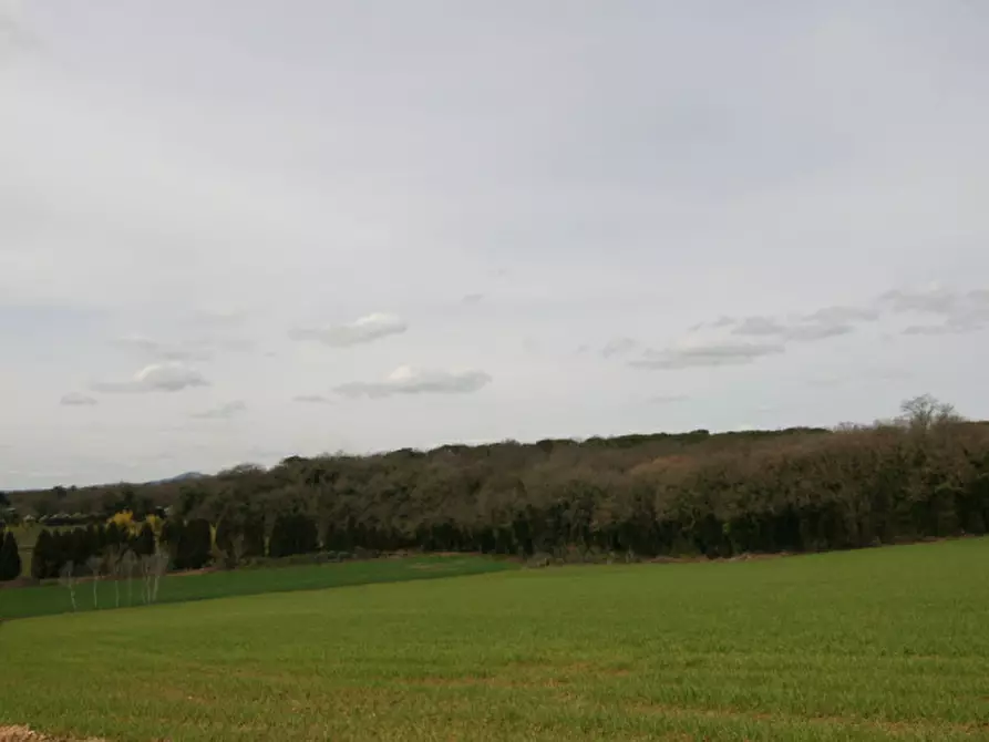 Immagine 44 di Rustico / casale in vendita  a Marsciano