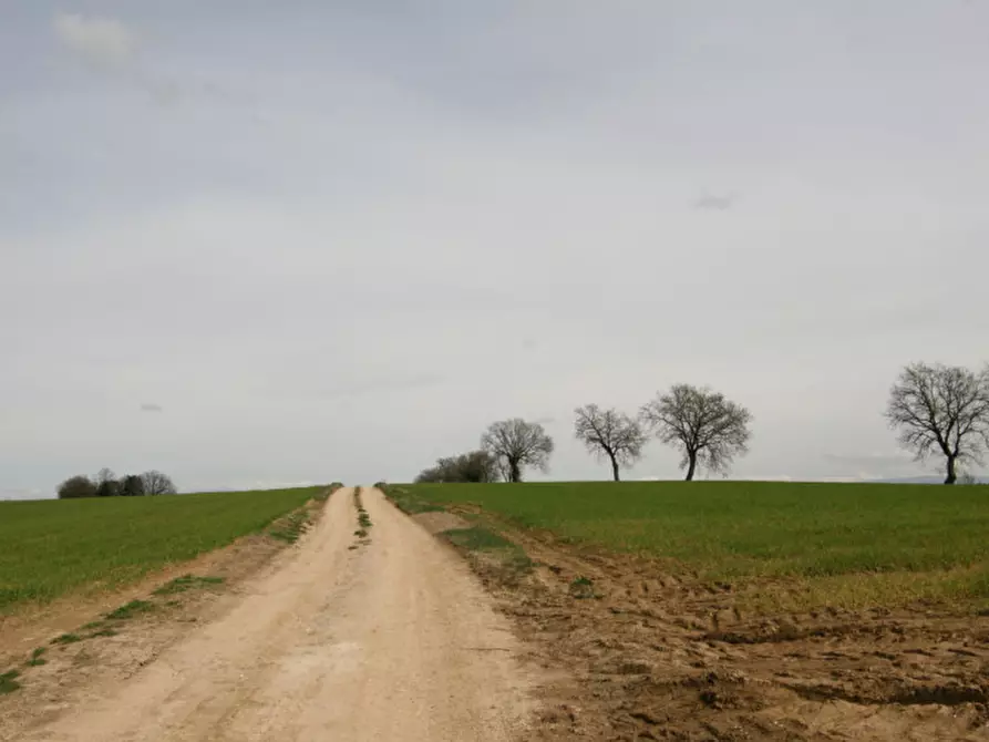 Immagine 45 di Rustico / casale in vendita  a Marsciano