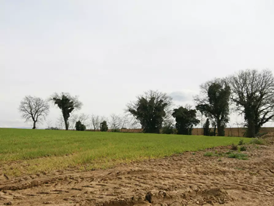 Immagine 46 di Rustico / casale in vendita  a Marsciano