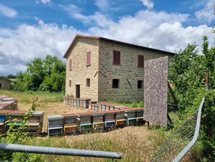 Immagine 2 di Rustico / casale in vendita  a Marsciano