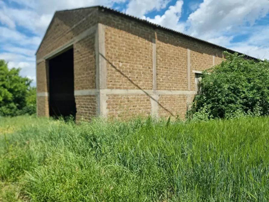 Immagine 3 di Rustico / casale in vendita  a Marsciano