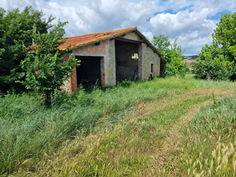 Immagine 4 di Rustico / casale in vendita  a Marsciano