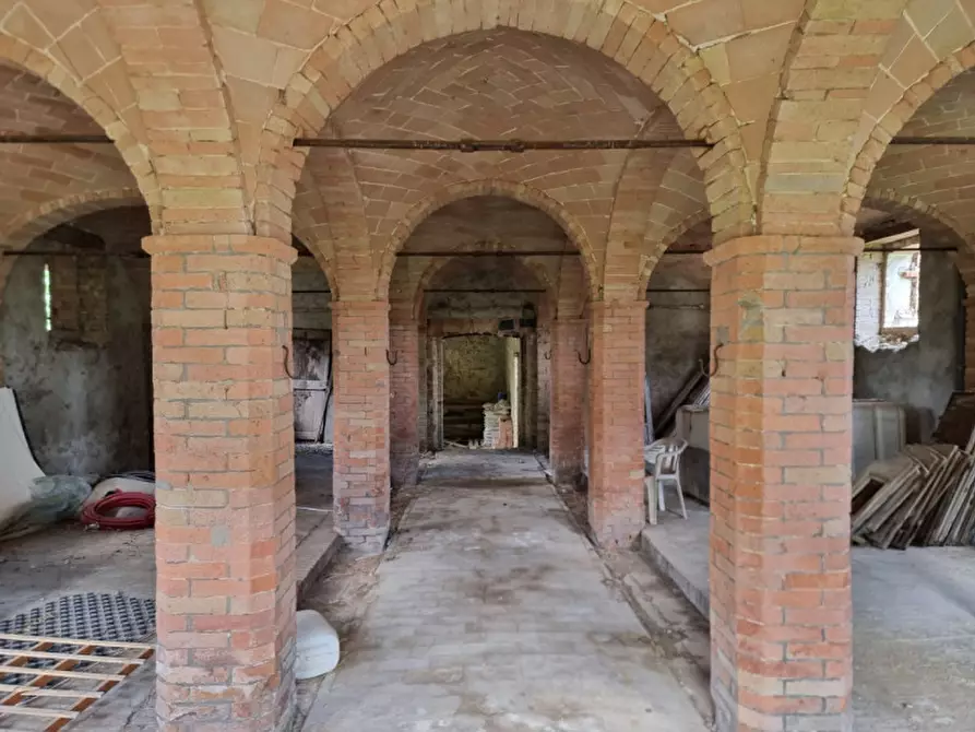 Immagine 6 di Rustico / casale in vendita  a Marsciano