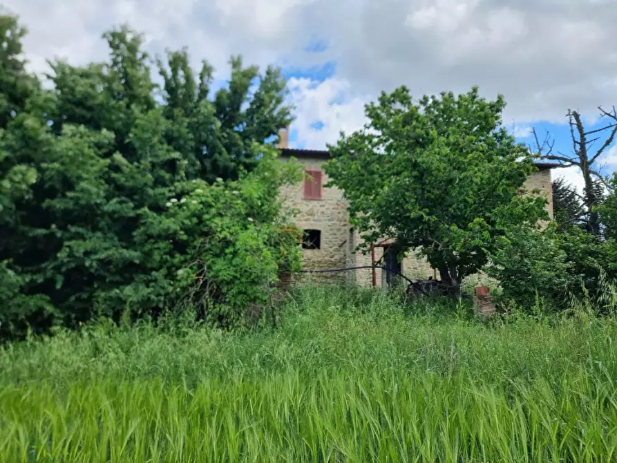 Immagine 12 di Rustico / casale in vendita  a Marsciano