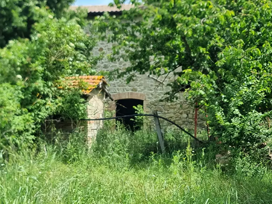 Immagine 13 di Rustico / casale in vendita  a Marsciano