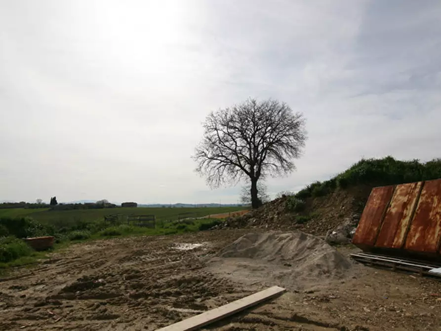 Immagine 4 di Rustico / casale in vendita  a Marsciano