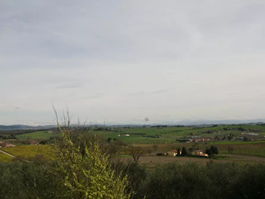 Immagine 11 di Rustico / casale in vendita  a Marsciano
