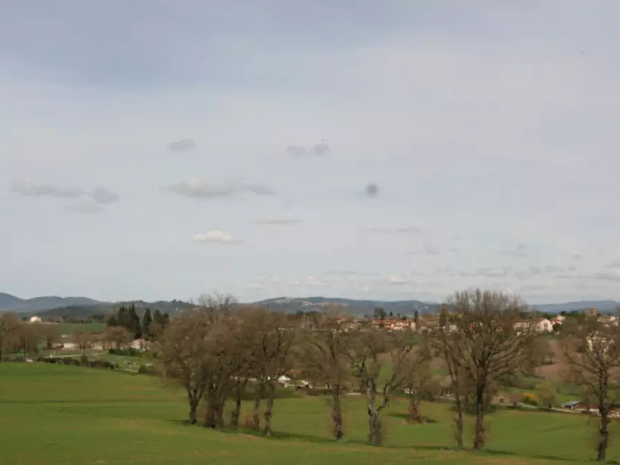 Immagine 34 di Rustico / casale in vendita  a Marsciano