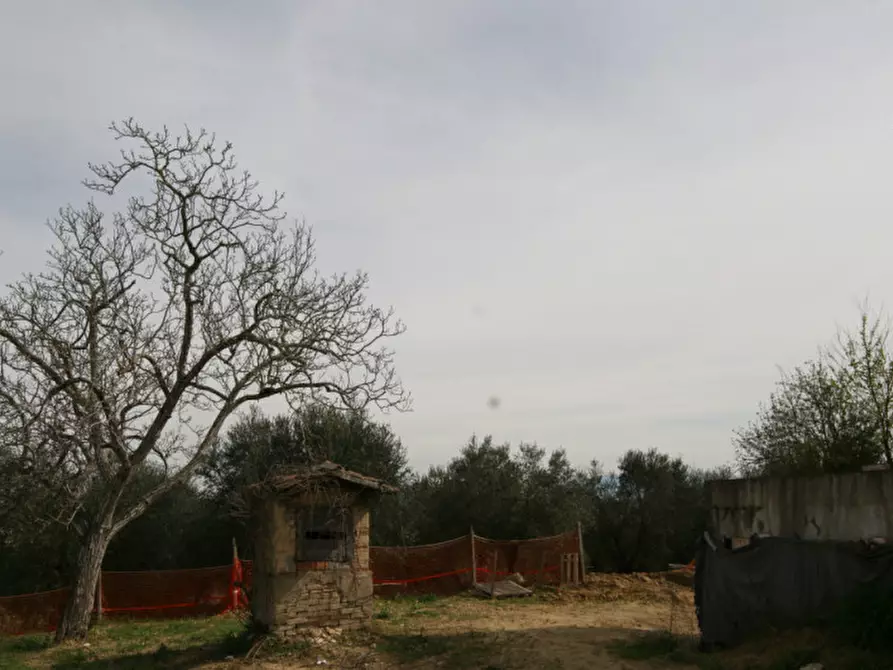 Immagine 43 di Rustico / casale in vendita  a Marsciano