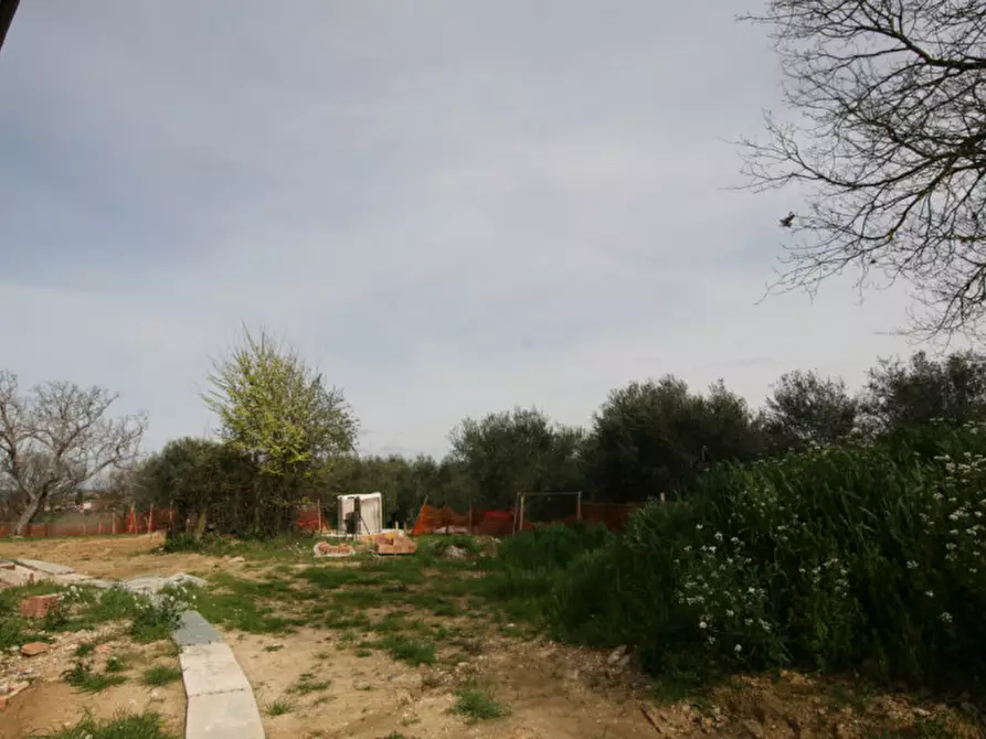 Immagine 48 di Rustico / casale in vendita  a Marsciano