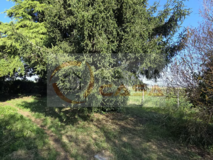 Immagine 7 di Casa indipendente in vendita  in via sauro a Bagnoli Di Sopra