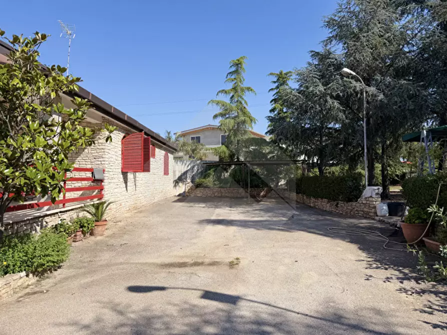 Immagine 12 di Villa in vendita  in Via Castel Del Monte a Andria