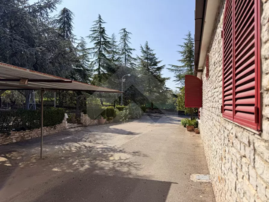 Immagine 14 di Villa in vendita  in Via Castel Del Monte a Andria