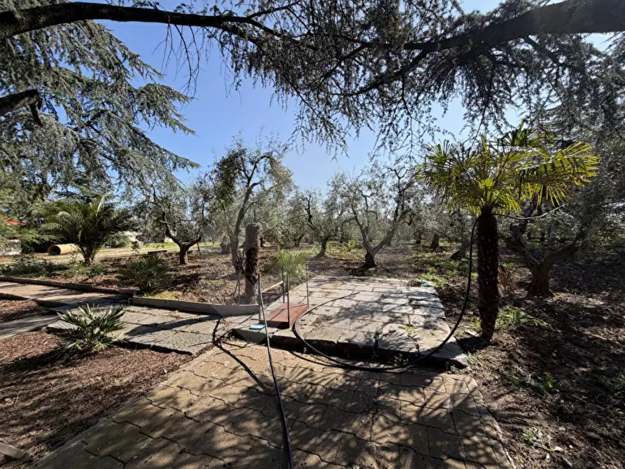 Immagine 23 di Villa in vendita  in Via Castel Del Monte a Andria