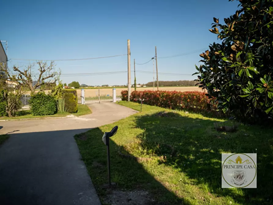 Immagine 3 di Casa indipendente in vendita  in via guola larga a Este