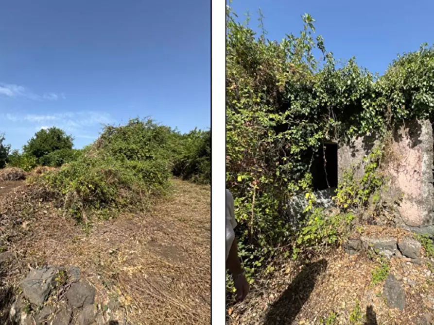 Immagine 3 di Terreno in vendita  in Fiumefreddo Sicilia CT, Italia a Fiumefreddo Di Sicilia