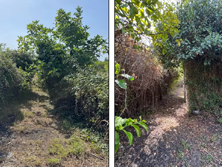 Immagine 4 di Terreno in vendita  in Fiumefreddo Sicilia CT, Italia a Fiumefreddo Di Sicilia