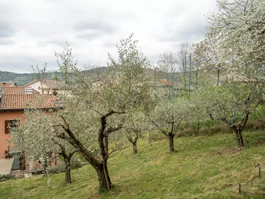 Immagine 24 di Villetta a schiera in vendita  in Contrada Pozza a Bosco Chiesanuova