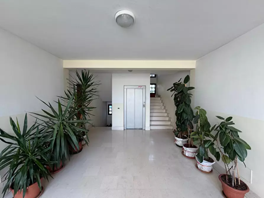 Immagine 3 di Appartamento in vendita  in Strada Paradiso a Vicenza