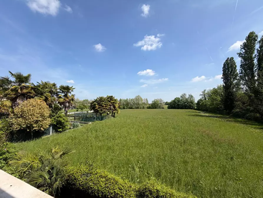 Immagine 6 di Appartamento in vendita  in Strada Paradiso a Vicenza