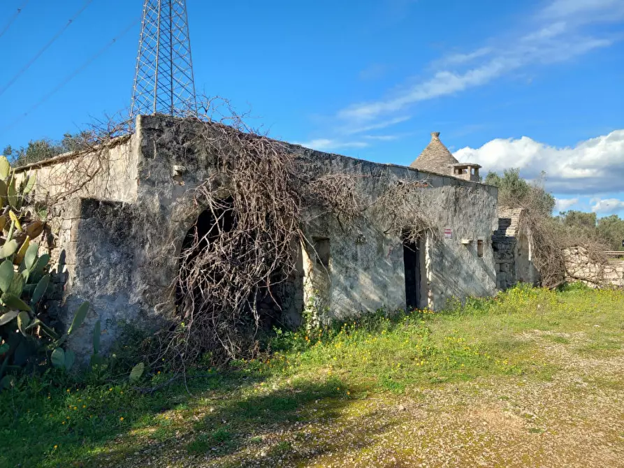 Immagine 1 di Rustico / casale in vendita  in C.da Sardella a San Michele Salentino
