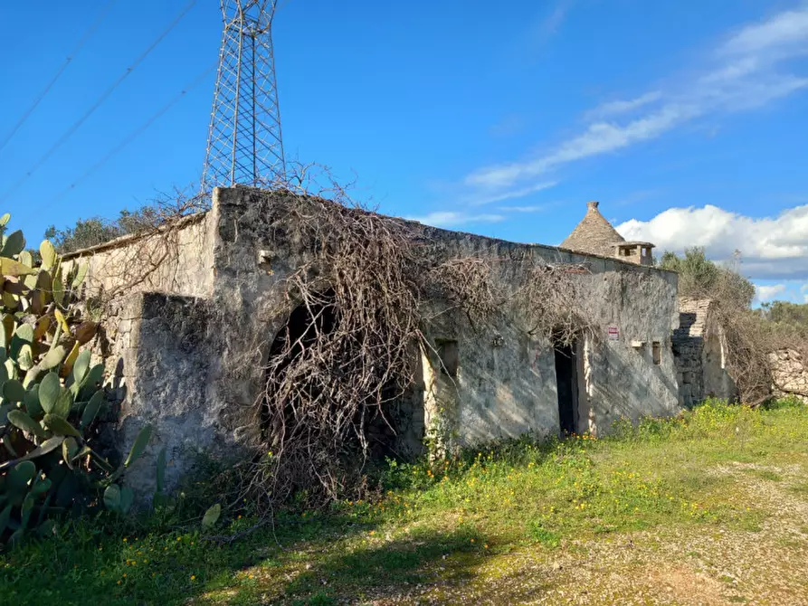 Immagine 2 di Rustico / casale in vendita  in C.da Sardella a San Michele Salentino