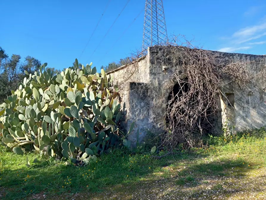 Immagine 3 di Rustico / casale in vendita  in C.da Sardella a San Michele Salentino
