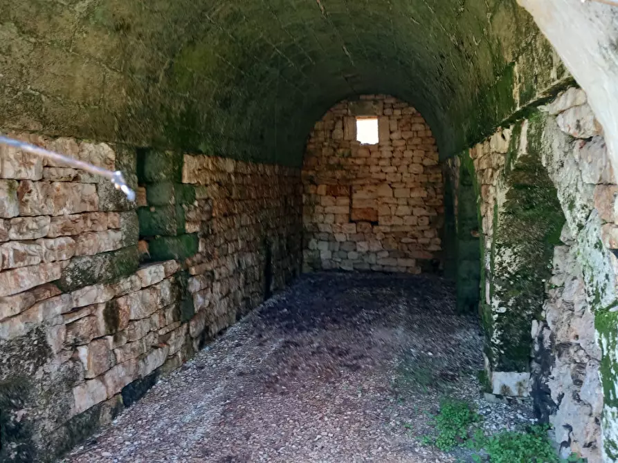Immagine 4 di Rustico / casale in vendita  in C.da Sardella a San Michele Salentino