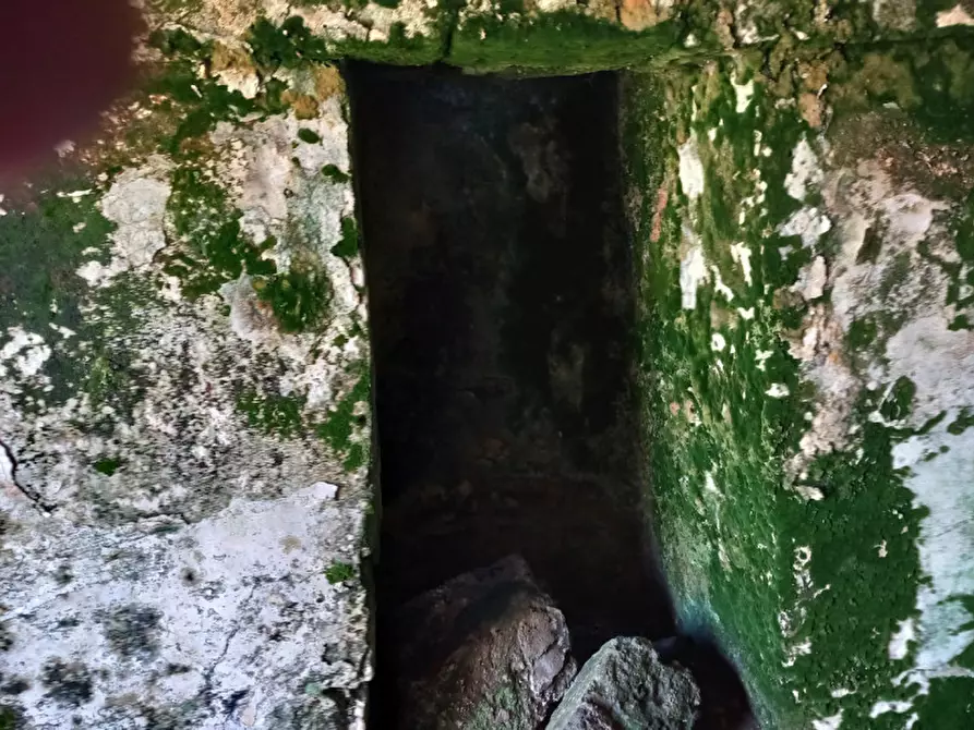 Immagine 6 di Rustico / casale in vendita  in C.da Sardella a San Michele Salentino