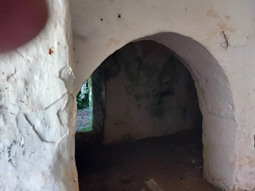 Immagine 9 di Rustico / casale in vendita  in C.da Sardella a San Michele Salentino