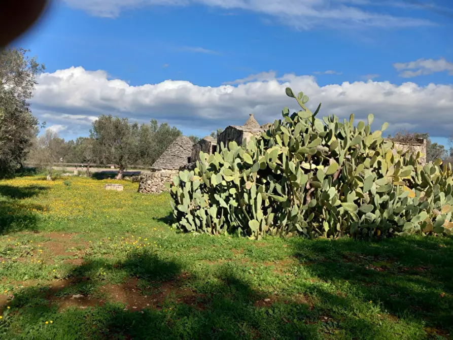 Immagine 13 di Rustico / casale in vendita  in C.da Sardella a San Michele Salentino