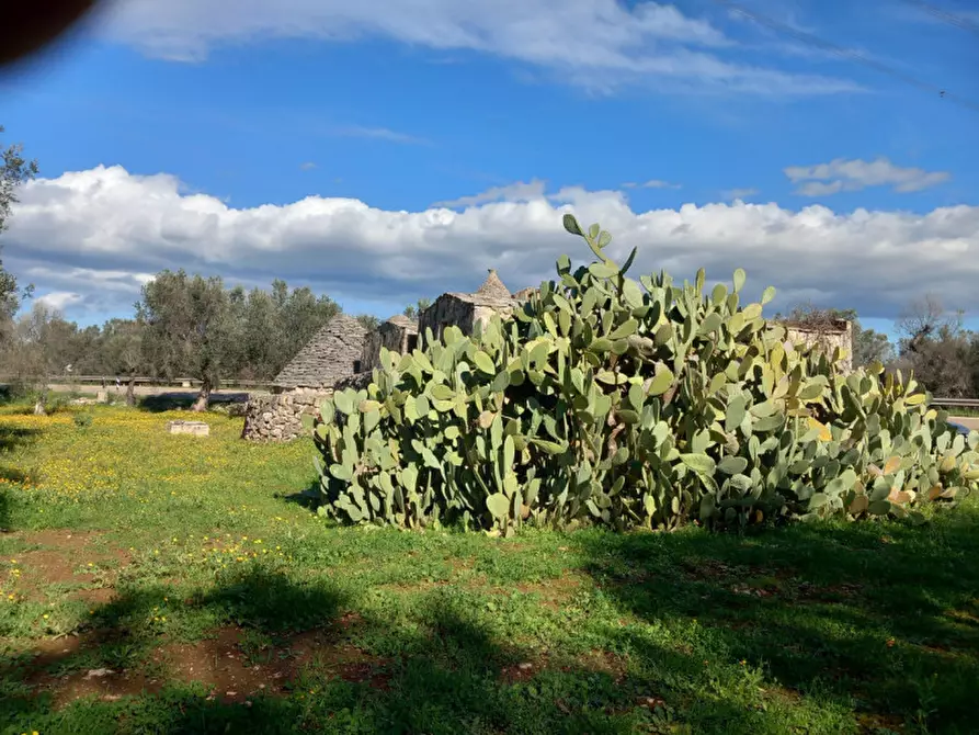 Immagine 14 di Rustico / casale in vendita  in C.da Sardella a San Michele Salentino