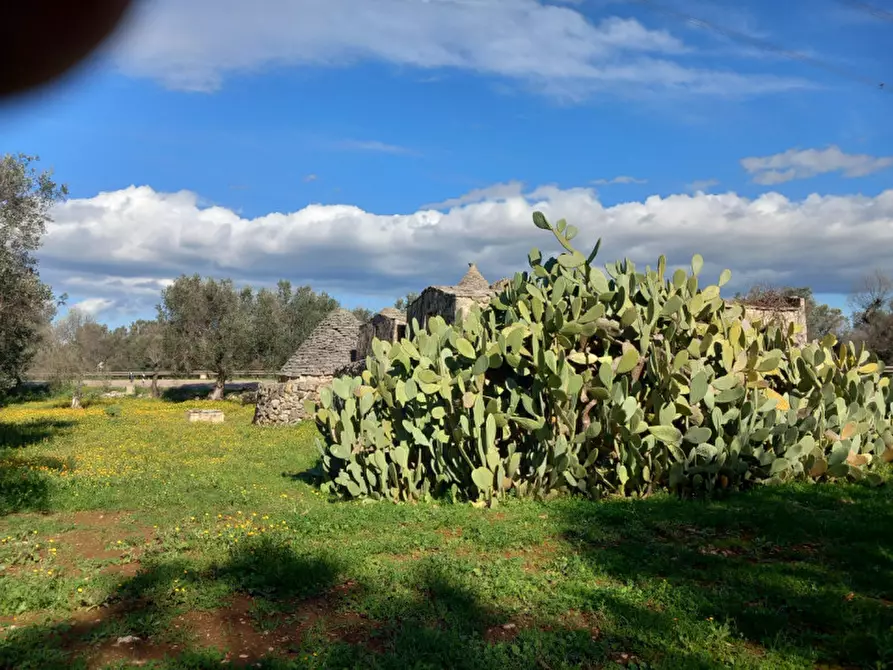 Immagine 15 di Rustico / casale in vendita  in C.da Sardella a San Michele Salentino