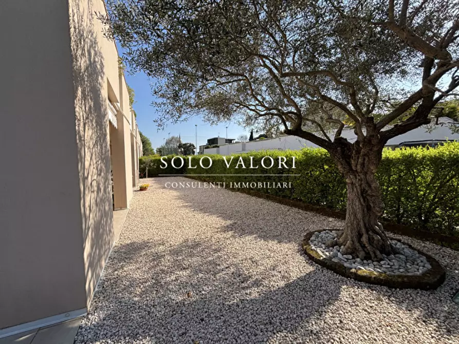 Immagine 8 di Appartamento in vendita  in Borgo Treviso a Castelfranco Veneto