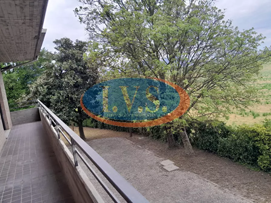 Immagine 29 di Appartamento in vendita  in Via roma 2 a Montegaldella