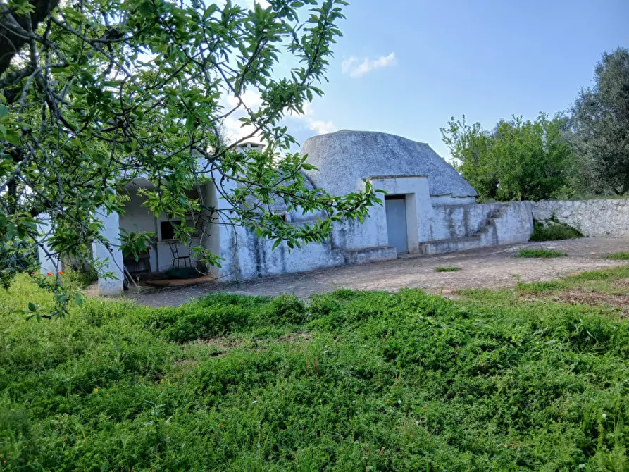 Immagine 3 di Rustico / casale in vendita  in C.da Sardella a San Michele Salentino