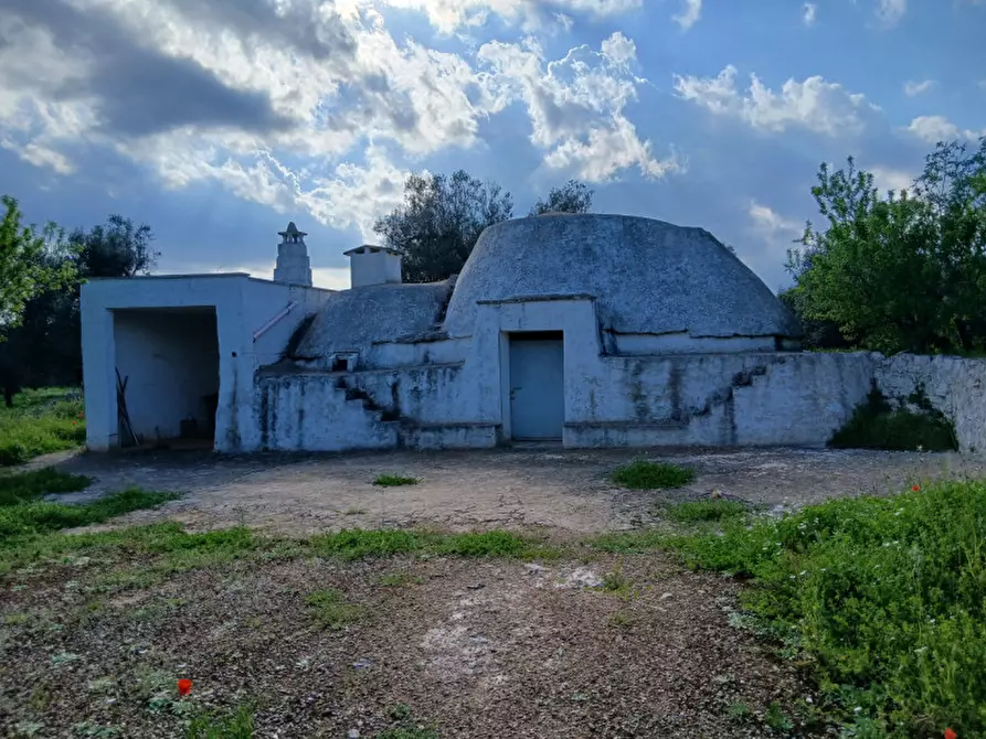 Immagine 4 di Rustico / casale in vendita  in C.da Sardella a San Michele Salentino